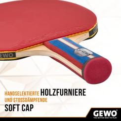 Ракетка для настольного тенниса Gewo Standard Pro FL (600300001) Фото 1