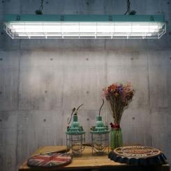 Лампочка EVROLIGHT L-1500 6400K 24Вт G13 T8 Фото 3