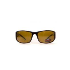 Солнцезащитные очки BluWater Florida-1 Polarized Коричневые Фото 1