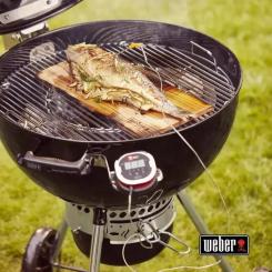 Гриль-барбекю Weber Master-Touch Premium E-5770 57 см Black Фото 7