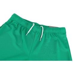 Шорты Puma teamRISE Short 704942-05 зелений XL Фото 9