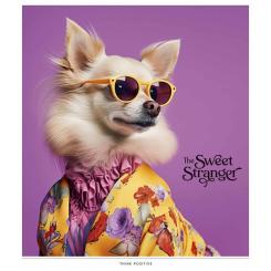 Тетрадь Школярик Retro style 48 аркушів клітинка Фото