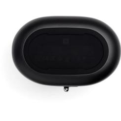Акустическая система JBL Tuner XL FM Black Фото 1
