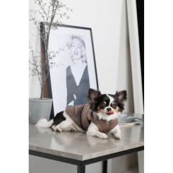 Жилет для животных Pet Fashion Hardy L Фото 6