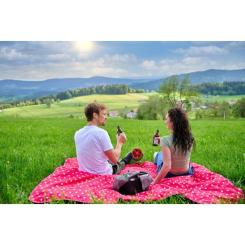 Вентилятор Einhell GC-CF 18/110 Li-Solo Фото 1