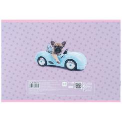Альбом для рисования Kite Studio Pets, 12 аркушів Фото 5