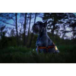 Фонарь Armytek Zippy Extended Set Blue Фото 6