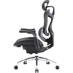 Офисное кресло Sihoo DORO C300 Pro Mesh Black Фото 2