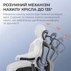 Офисное кресло Sihoo DORO C300 Pro Mesh Black Фото 5