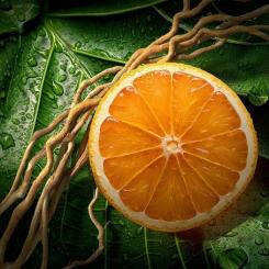 Туалетная вода Davidoff Adventure 100 мл Фото 2