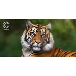 Проектор AOpen QH31S pink Фото 7