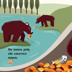 Книга Ранок Лісова компанія - Мадлєн Роджерс Фото 6