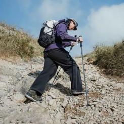 Треккинговые палки Naturehike CNK2450DS017, 35-110 см, чорна Фото 2
