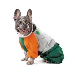 Дождевик для животных Pet Fashion Marlie МL Фото 3