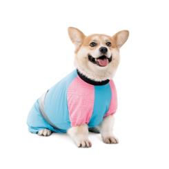 Комбинезон для животных Pet Fashion Milly XS (такса) Фото 1
