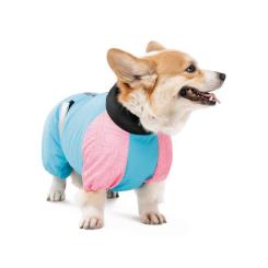Комбинезон для животных Pet Fashion Milly XS (такса) Фото 2
