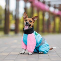 Комбинезон для животных Pet Fashion Milly XS (такса) Фото 3