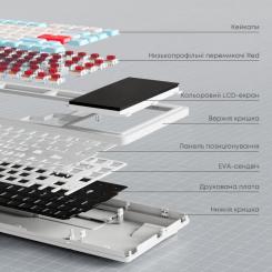 Клавиатура Ajazz AKP815 RGB Red Switch USB UA White/Blue Фото 11