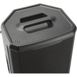 Акустическая система JBL PRX912 Black Фото 6