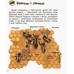 Книга Ранок Комахи. Енциклопедія дошкільника - Ю.В. Каспарова Фото 5
