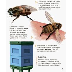 Книга Ранок Комахи. Енциклопедія дошкільника - Ю.В. Каспарова Фото 6