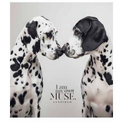 Тетрадь Школярик 60 аркушів клітинка Фото