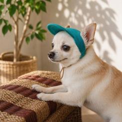 Кепка для животных Pet Fashion Topaz М Фото 4