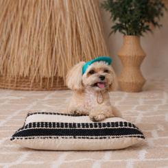 Кепка для животных Pet Fashion Topaz М Фото 5