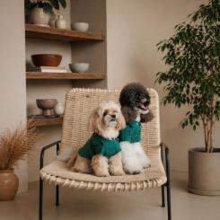 Футболка для животных Pet Fashion Seaman S Фото 4