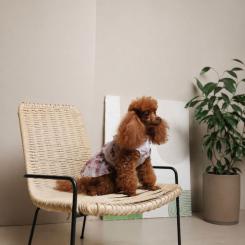 Платье для животных Pet Fashion Amelia М Фото 6
