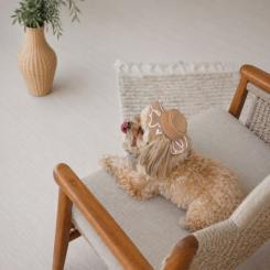 Кепка для животных Pet Fashion Print XS Фото 4