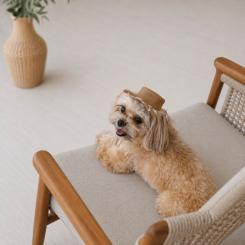 Кепка для животных Pet Fashion Print XS Фото 5