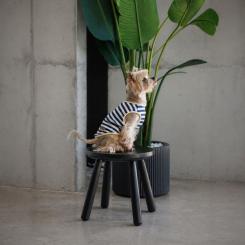Футболка для животных Pet Fashion Tropic L Фото 4