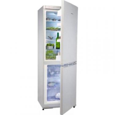 Холодильник Snaige RF34SM-S10021 Фото