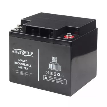 Батарея к ИБП EnerGenie 12В 40 Ач (BAT-12V40AH)