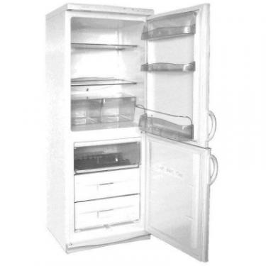 Холодильник Snaige RF300-1801AA Фото 1