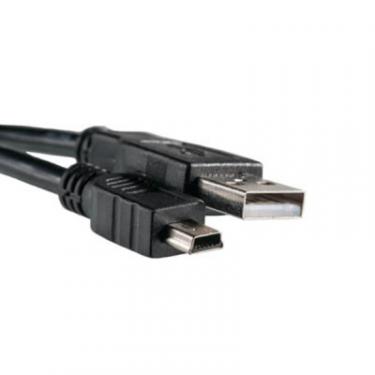 Дата кабель PowerPlant USB 2.0 AM to Mini 5P 0.5m Фото