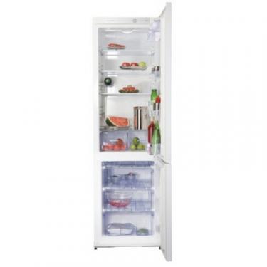 Холодильник Snaige RF45SM-S10021 Фото