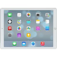 Планшет Apple A1652 iPad Pro 12.9-inch Wi-Fi 4G 256GB Silver Фото 2
