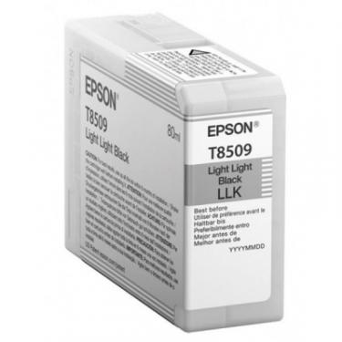 Картридж Epson P800 UltraChrome HD 80ml LLBlack Фото
