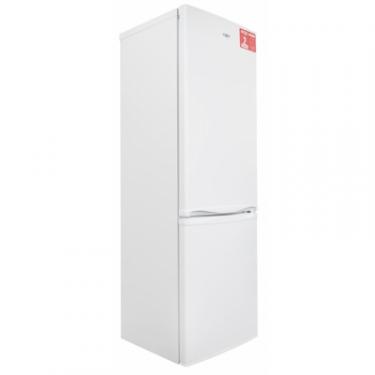 Холодильник Ergo MRF-170 Фото 2