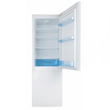 Холодильник Ergo MRF-170 Фото 6