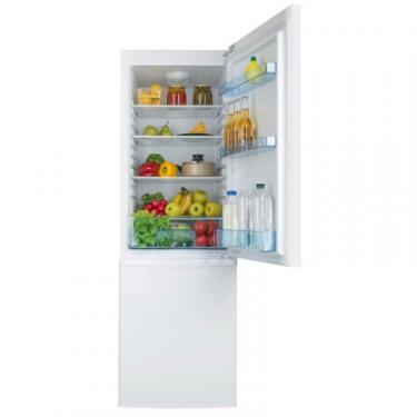 Холодильник Ergo MRF-170 Фото 7