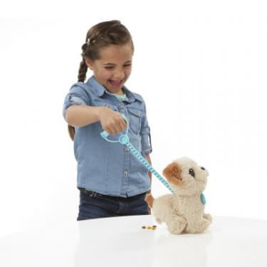 Интерактивная игрушка Hasbro Furreal Friends Весёлый щенок Пакс (обновленный) Фото 4