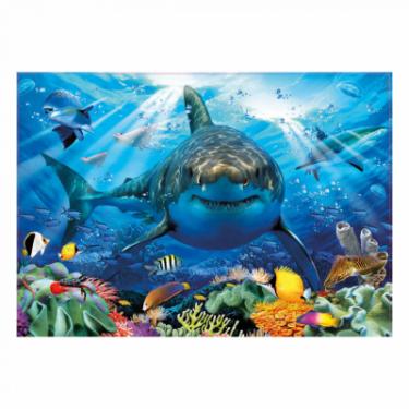 Пазл Educa Большая белая акула 500 элементов Фото 1