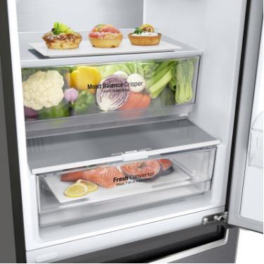 Холодильник LG GW-B509SLNM Фото 6