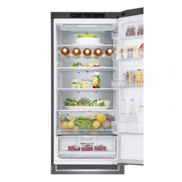 Холодильник LG GW-B509SLNM Фото 7