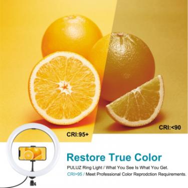 Набор блогера Puluz Ring USB LED lamp PKT3069B 10.2" + tripod 1.1 м Фото 4