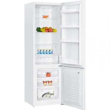 Холодильник PRIME Technics RFS1833M Фото 1