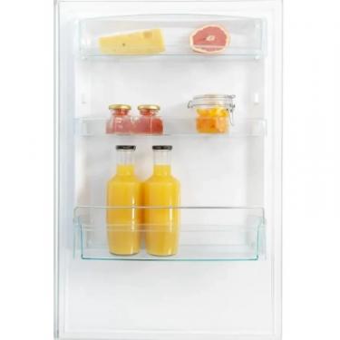 Холодильник Snaige RF56SM-S5RB2E Фото 6